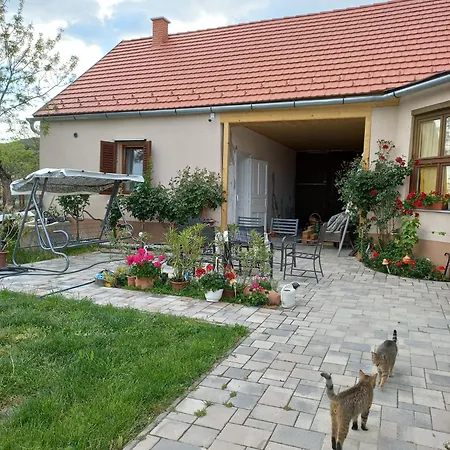 Bormegallo Vendeghaz * Szekszárd